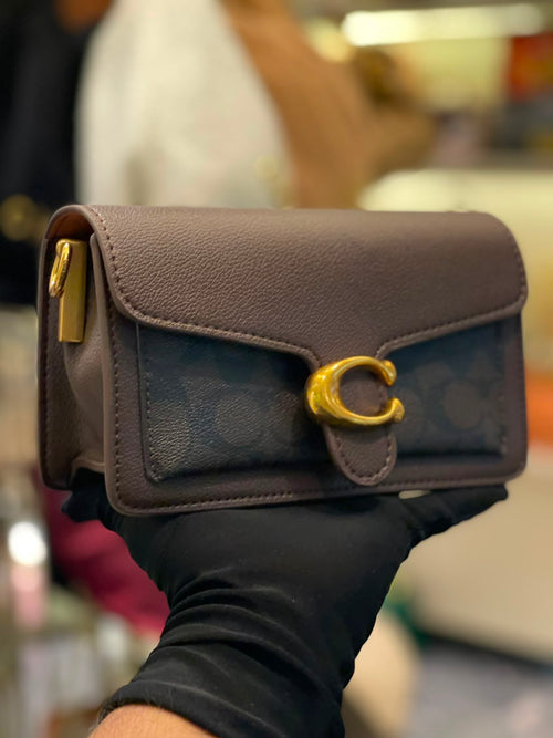Coach Buckle Bag Timeless Colors