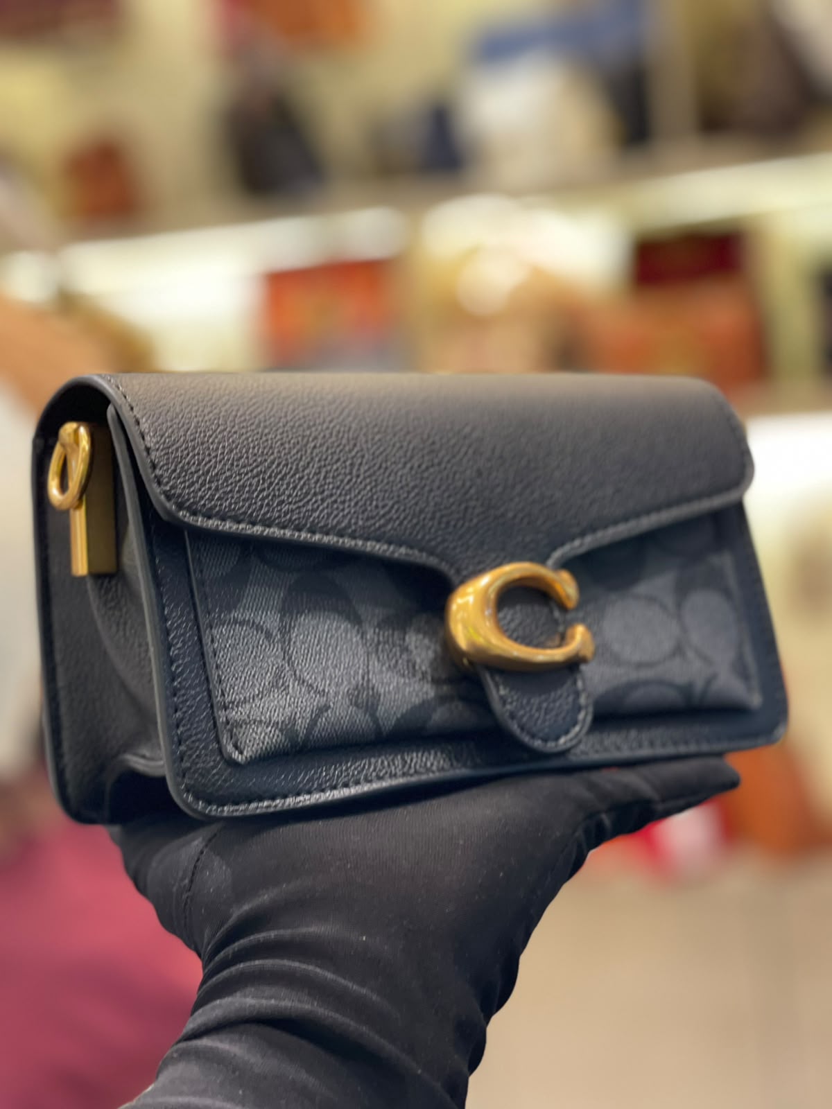 Coach Buckle Bag Timeless Colors