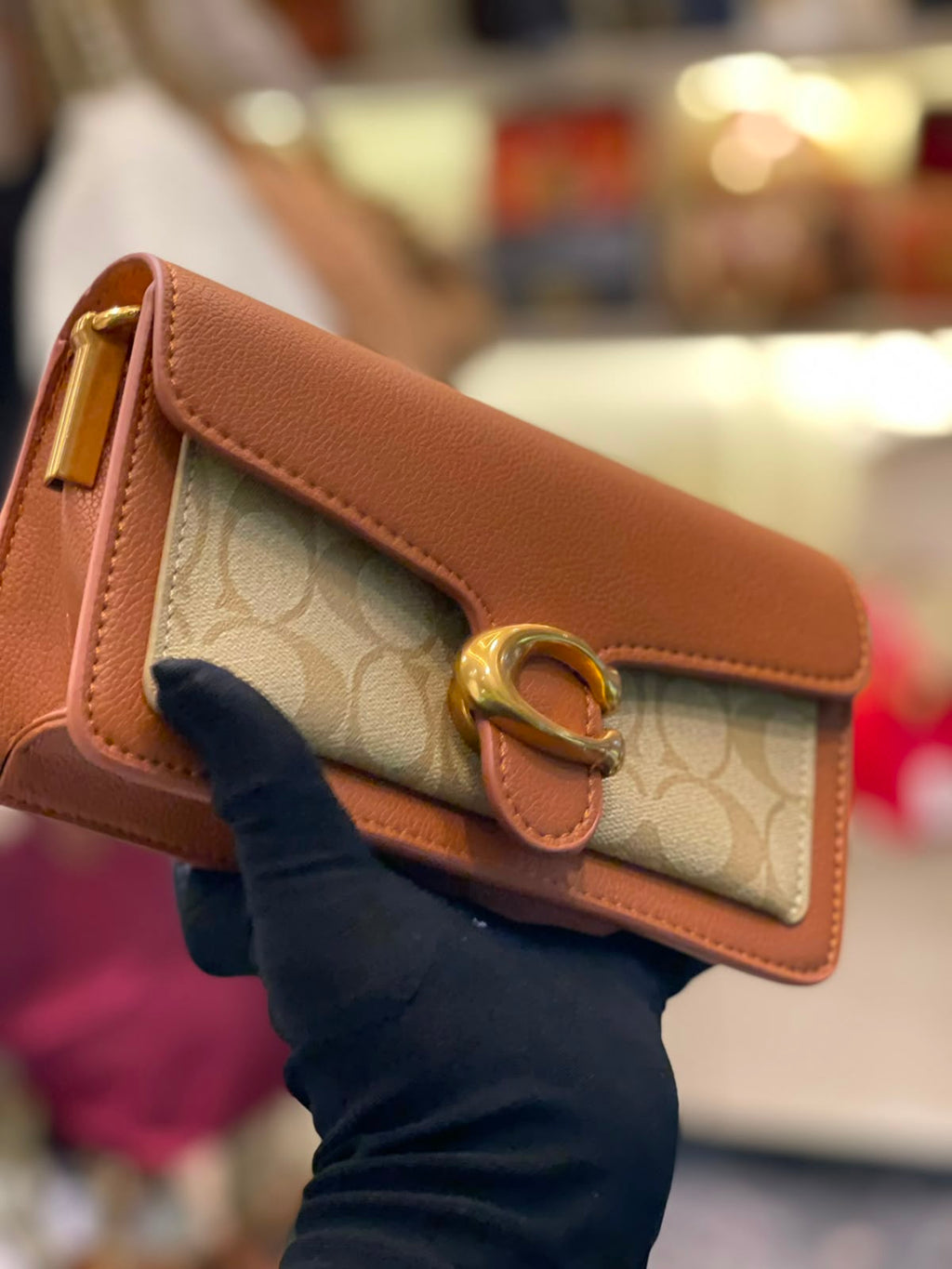 Coach Buckle Bag Timeless Colors